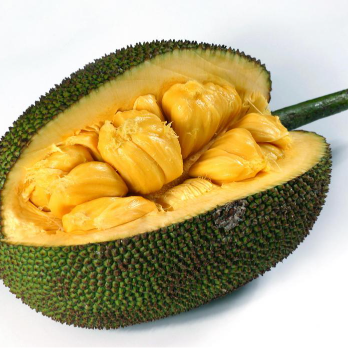 Jack Fruit Image 2