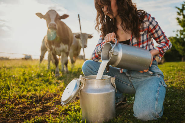 Milk  Image 3