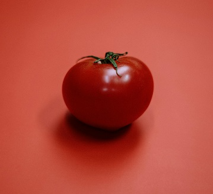 Tomato Image 1