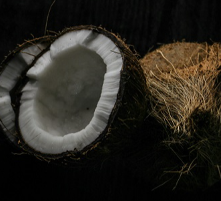 Coconut Image 3